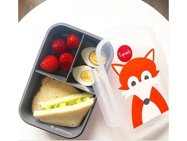 Snacktartó, uzsonnásdoboz
